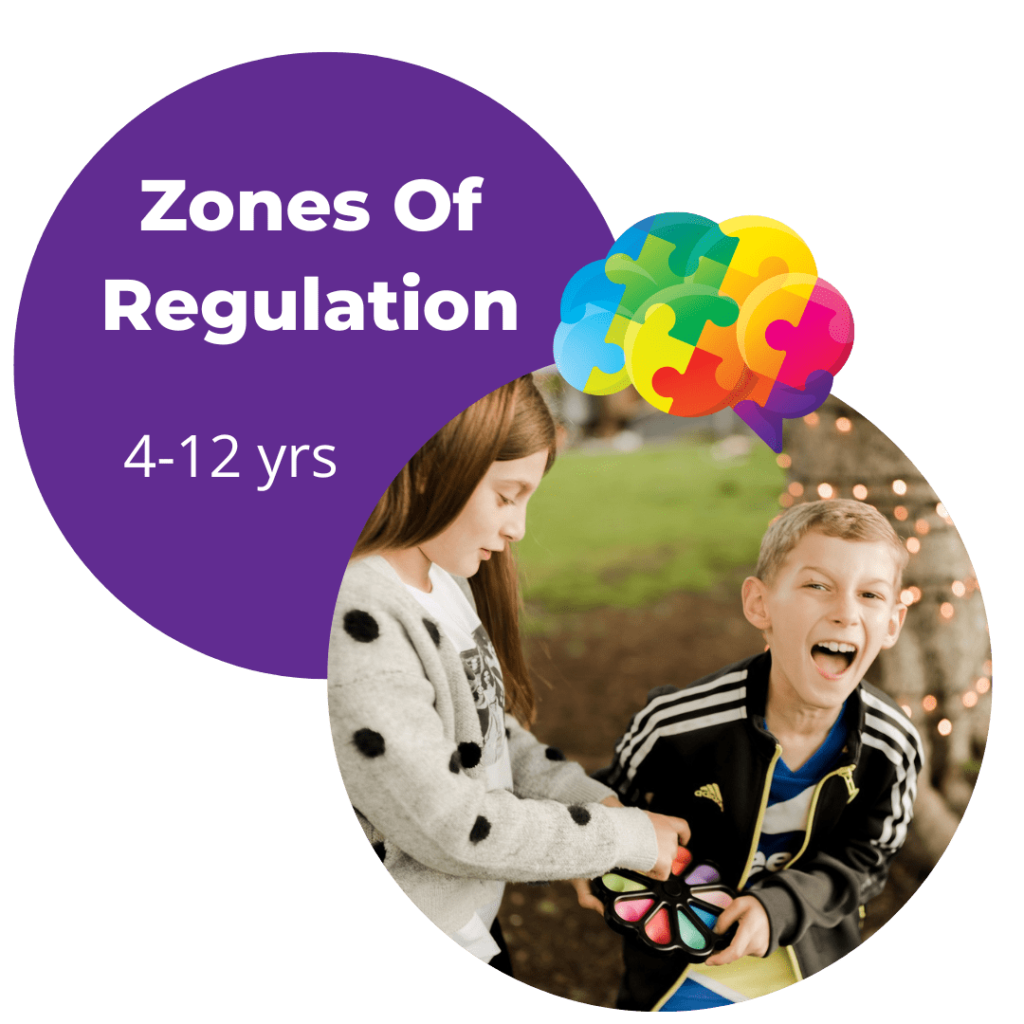 Zones of Regulation program run by Social Minds